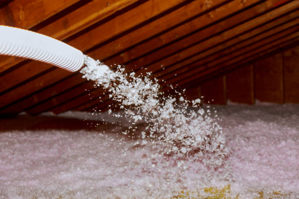 Best Insulation Replacement Services  in Prescott, AR